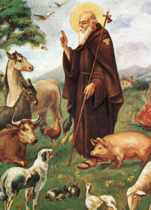 S.Antonio Abate Protettore Degli Animali