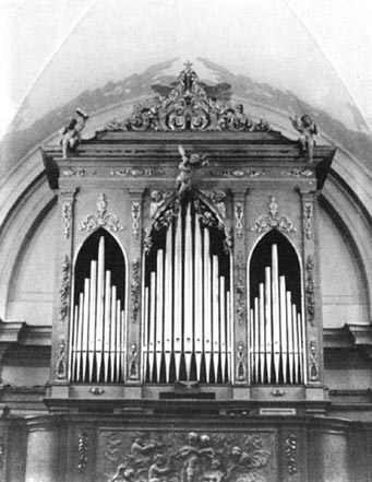 noga5.jpg (38790 byte)